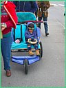IMG_0072.jpg