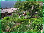 Ax_Christa's%20Garden