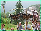 x_Bergamasce