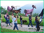 x_Cows