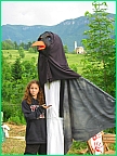 x_ColleenBird.jpg