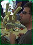 x_Paul_hand.jpg